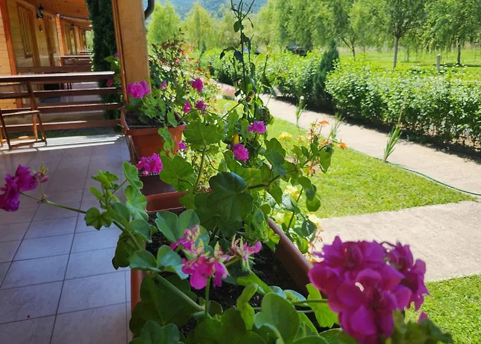 La Podul Gornii