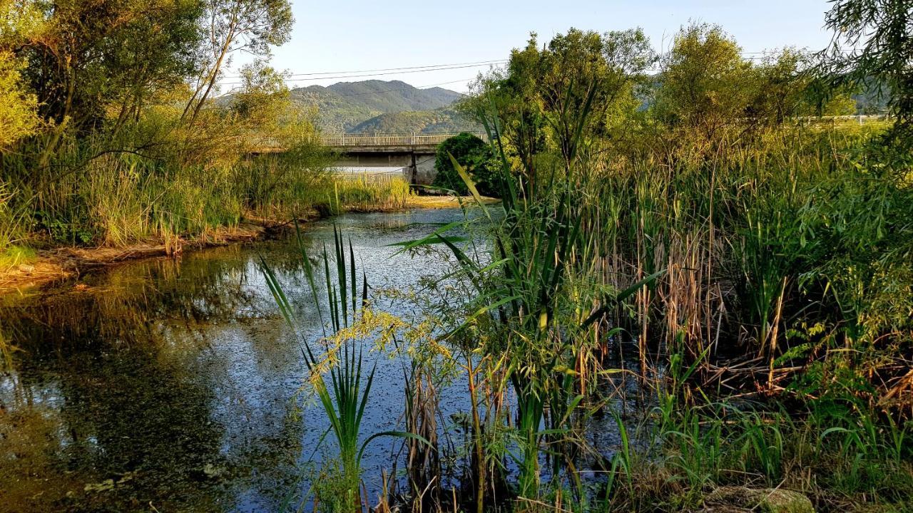 La Podul Gornii *