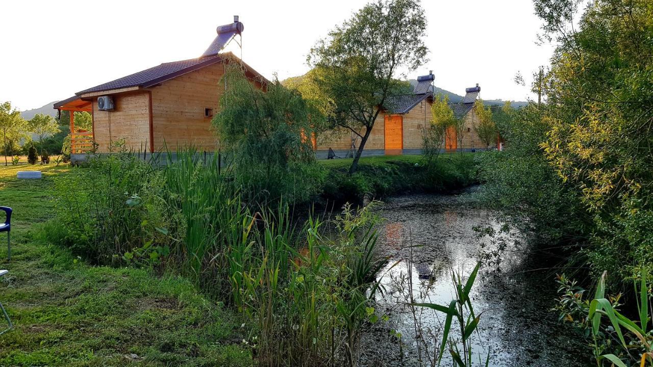 Campsite La Podul Gornii *
