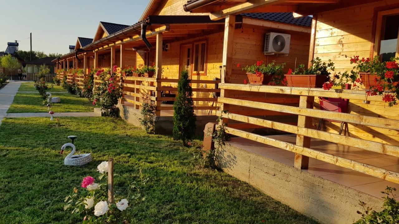 Campsite La Podul Gornii *