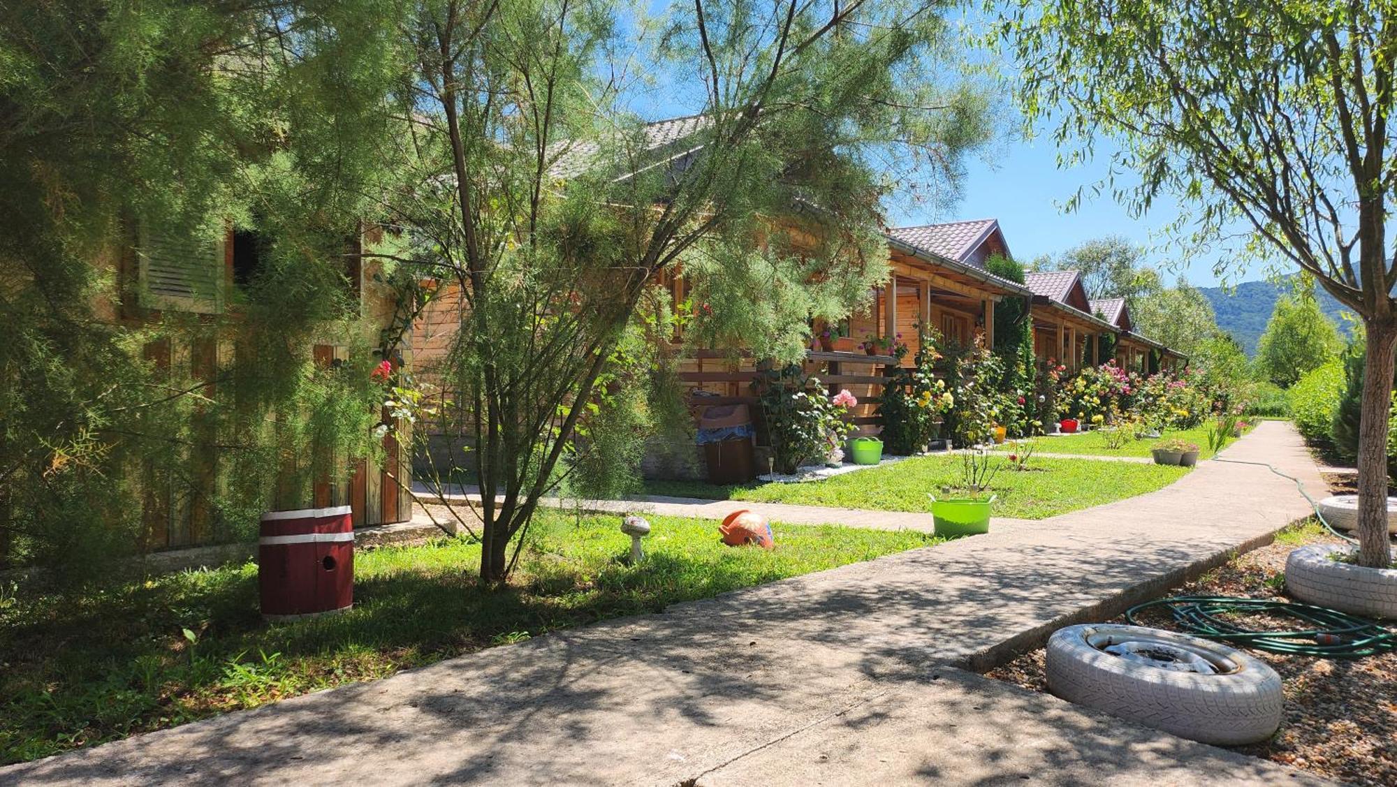 La Podul Gornii Campsite Gornea