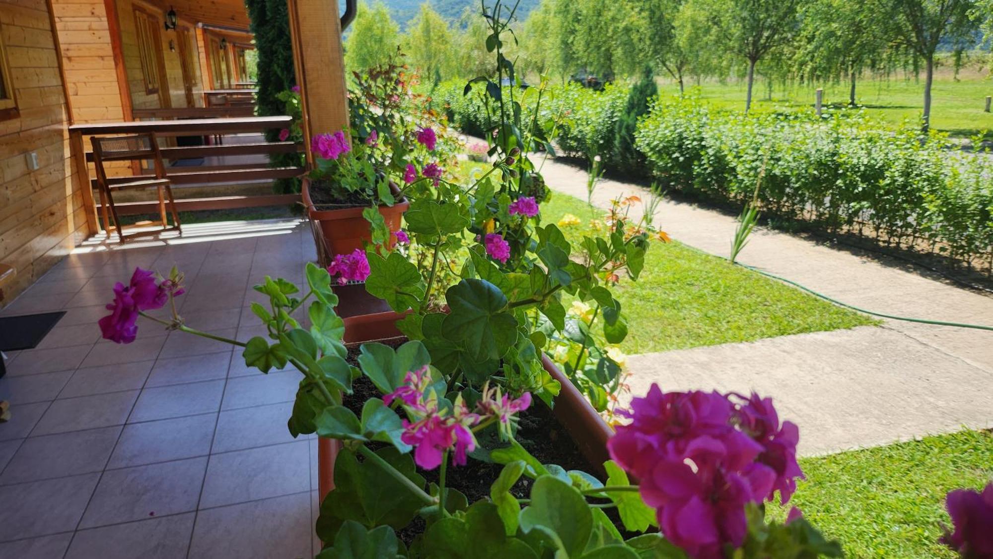 La Podul Gornii Campsite