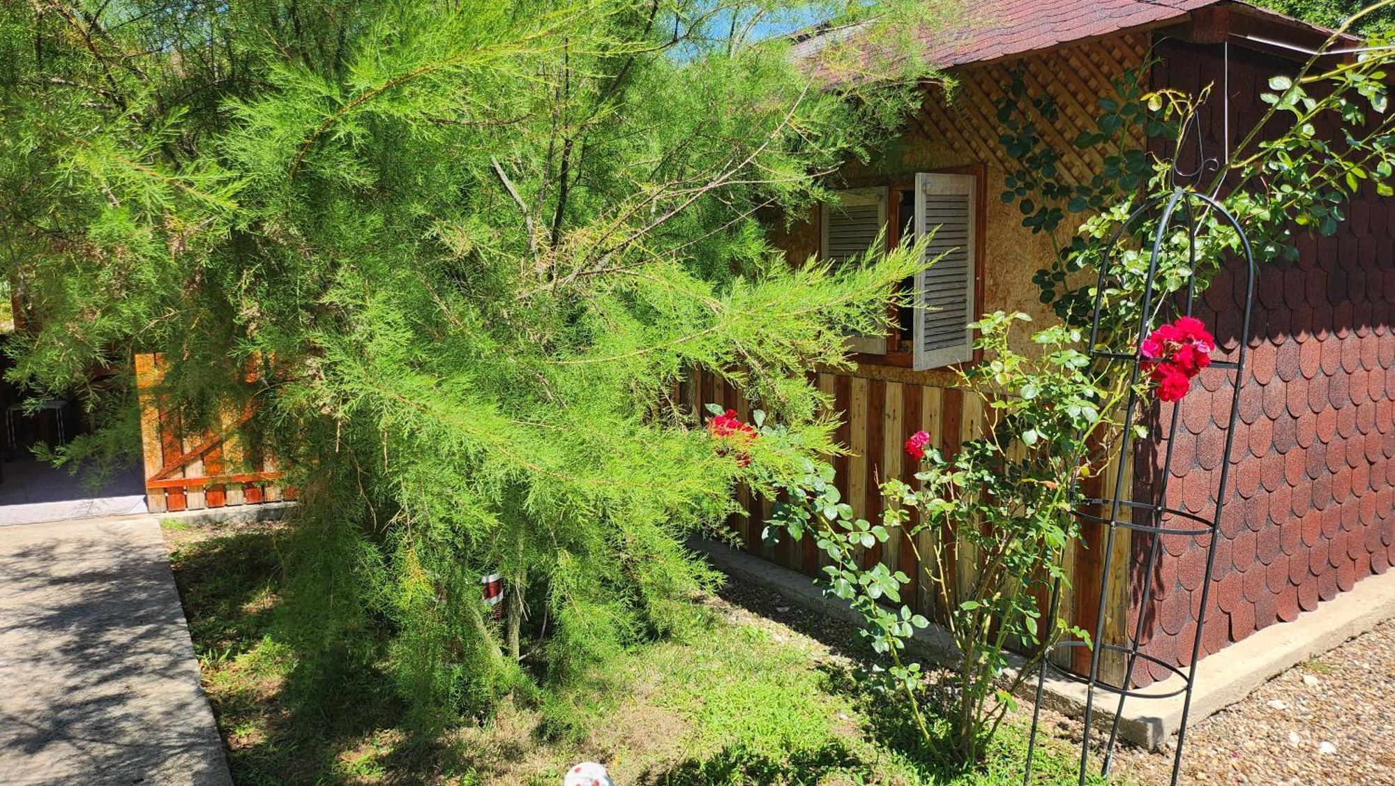 La Podul Gornii Campsite *