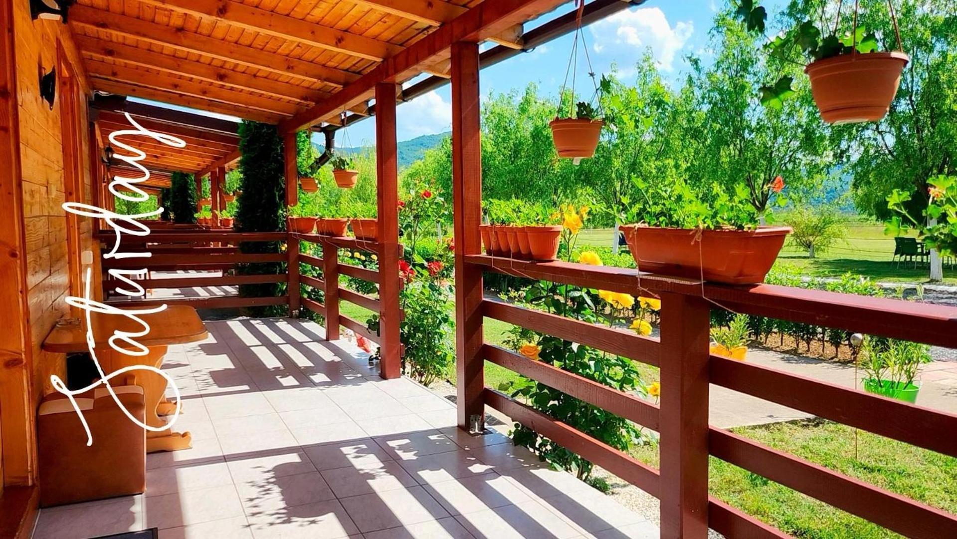 Campsite La Podul Gornii